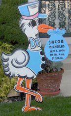 Jacob Nicholas' Baby Announcement Stork