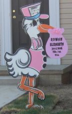 Rowan Elizabeth's Baby Announcement Stork