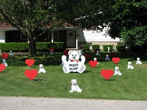 White Teddy Bears - Full Display