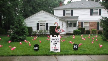 3D Flamingo Flocking with Lawn Letters