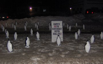 3D Penguin Display