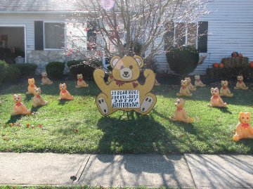 3D Teddy Bear Display